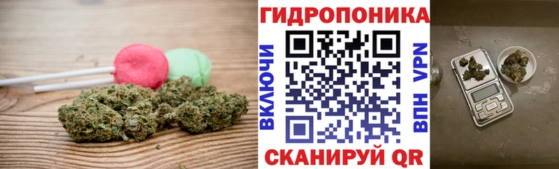 где продают   Елизаветинская  kraken tor  Печенье с ТГК конопля 