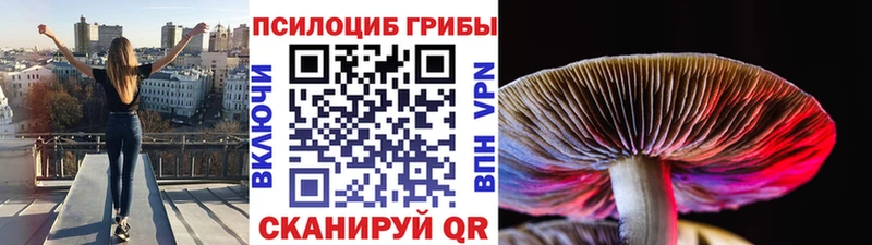 Галлюциногенные грибы прущие грибы  закладки  MEGA вход  Елизаветинская 